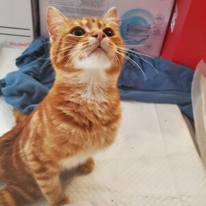 Meet your Posher, Ivar!